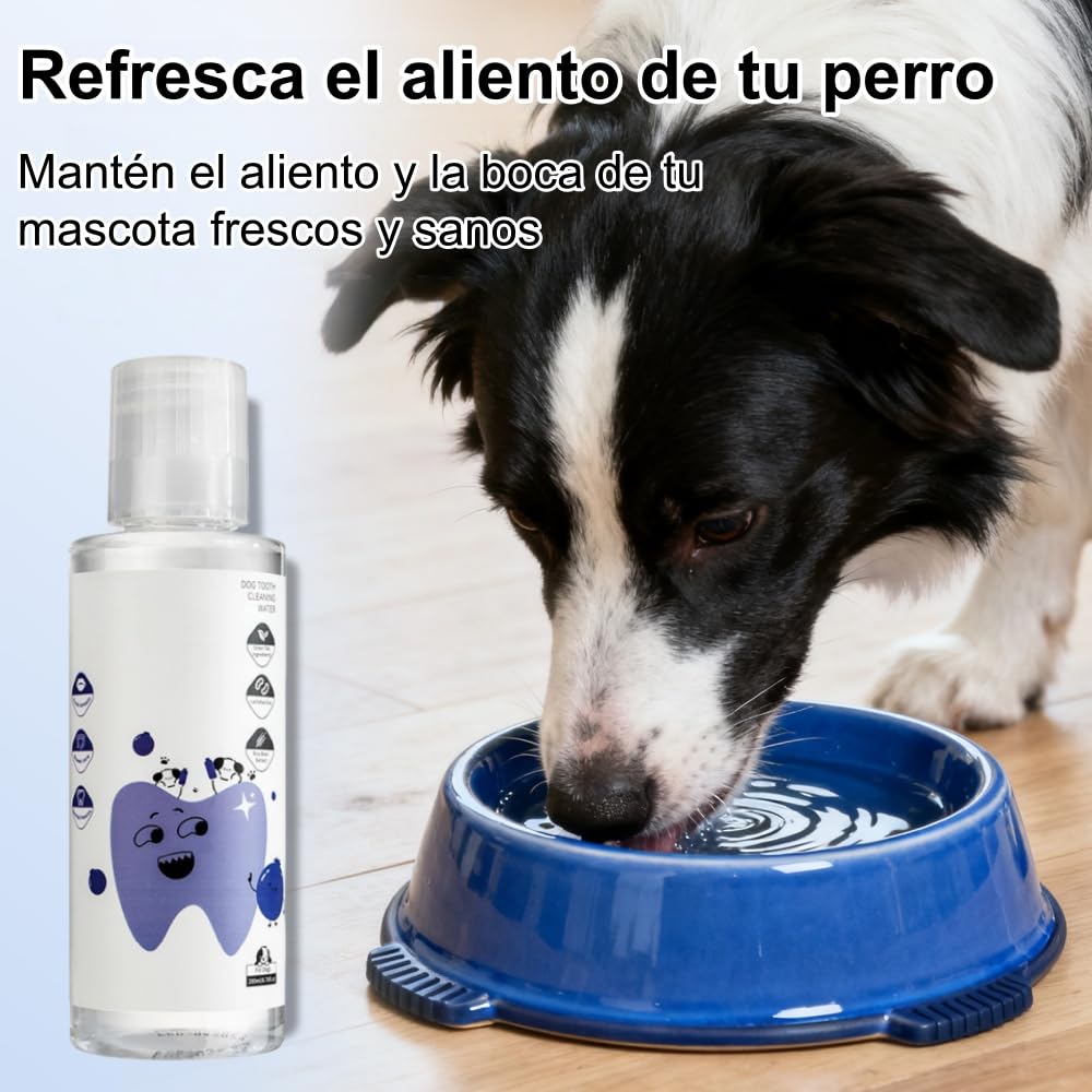 MEIION Balyxe Enjuague bucal para Perros - Elimina Mal Aliento, Refresca y Promueve Encias - Hogar y Exterior