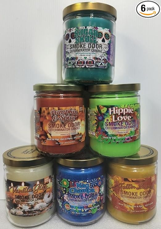 Smoke Odor Exterminator 13 oz Jar Candles Sugar Skull Assorted (6) Includes Sugar Skull, Fall’N Leaves, Pumpkin Spice, Vanilla Glitz, Nag Champa & Hippie Love.