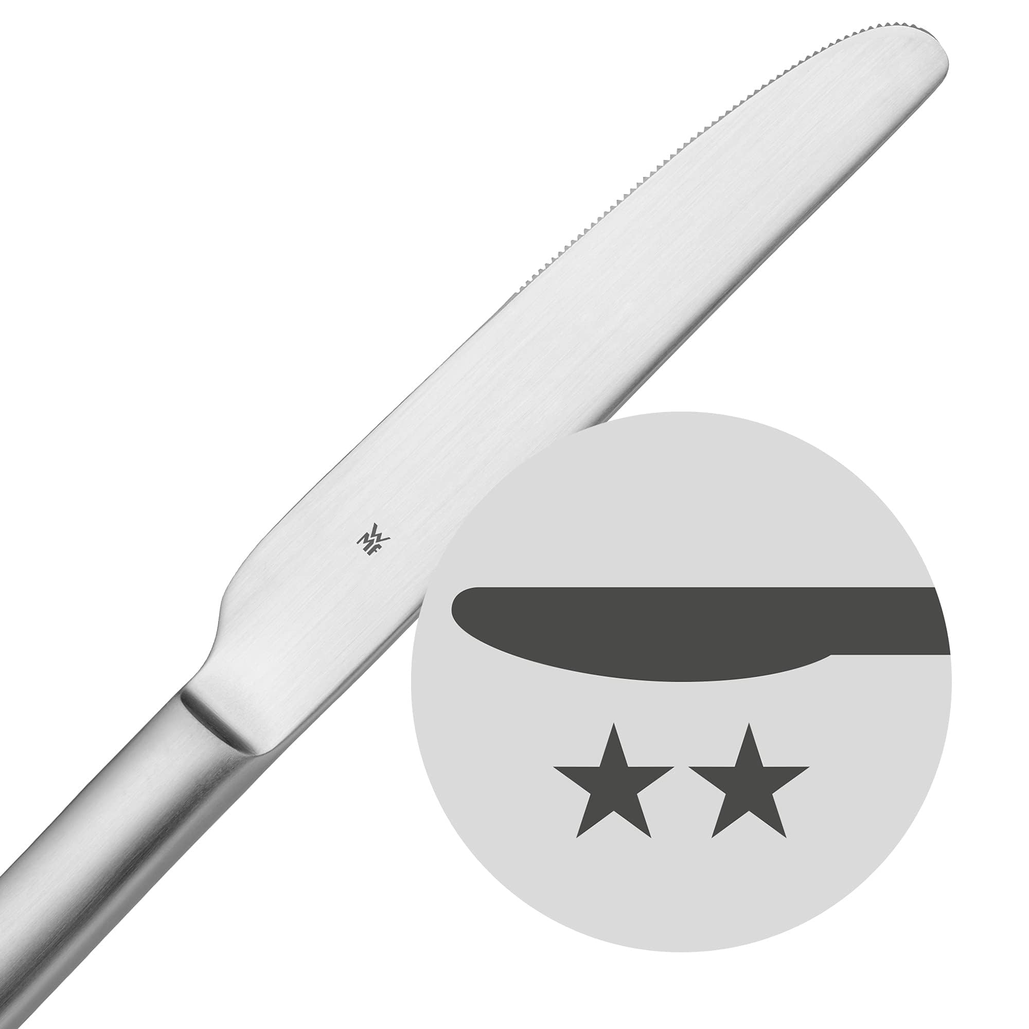 WMF Alteo Besteck Set 12 Personen, Essbesteck 60 teilig, Besteck matt, Monobloc-Messer, Cromargan Edelstahl mattiert, spülmaschinenfest