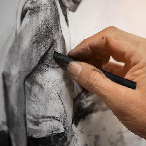 Miniatura 5 de MyLifeUNIT Willow Charcoal Sticks, paquete de 4 lápices de carbón de vid para dibujo de artistas (48 piezas)