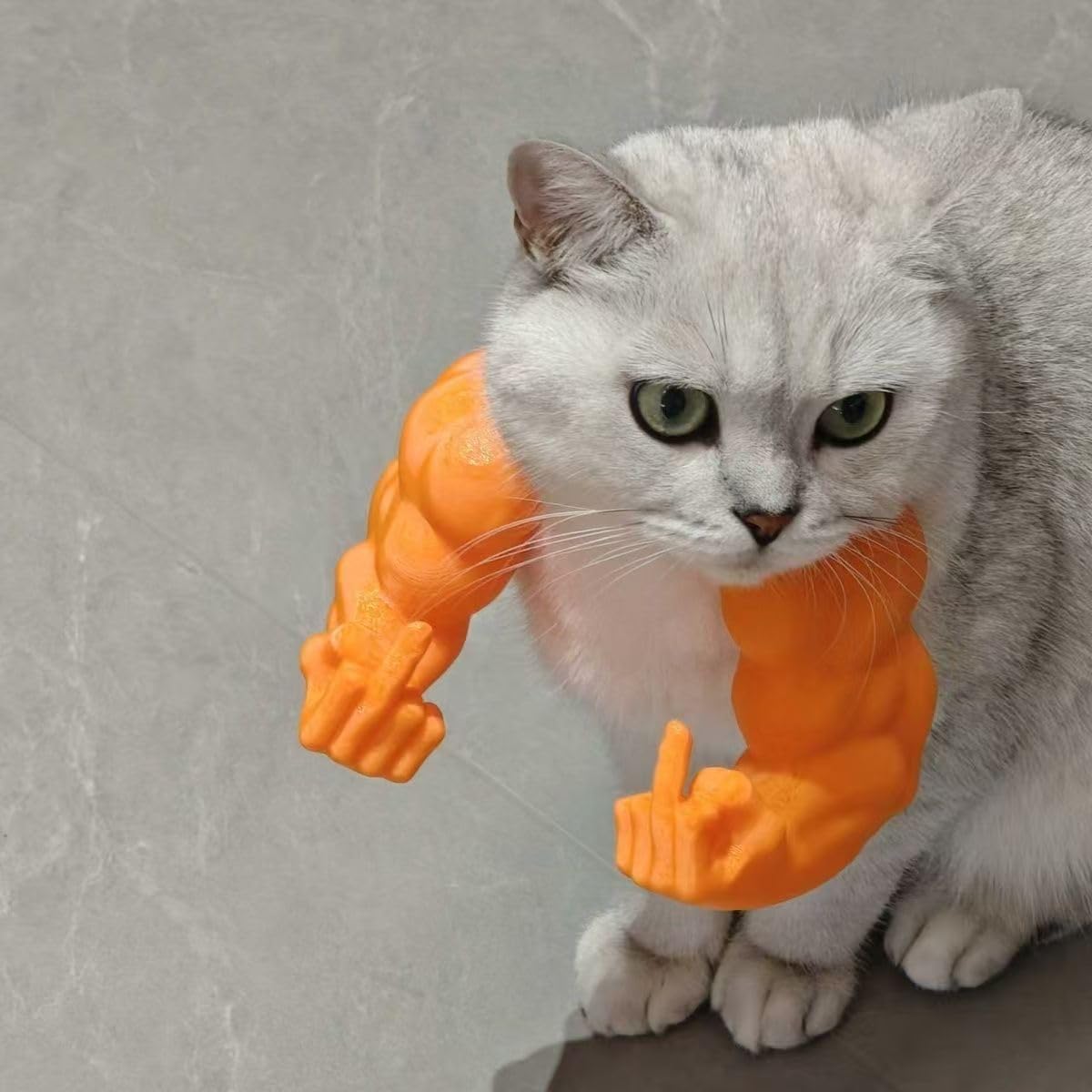 Cat With Muscular Arms - 3D Printed Funny Pet Costume Prop For Cats And Small Dogs, Funny Ornaments, Giant Hand Muscle Arm Costume For Kitten Halloween & Birthday Parties (orange, finger) โ image 1