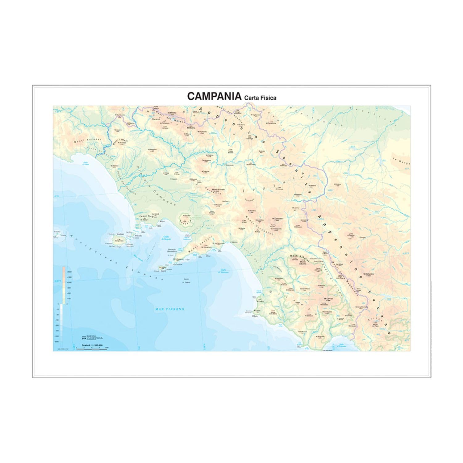 Campania scolastica murale (fisico-politica)