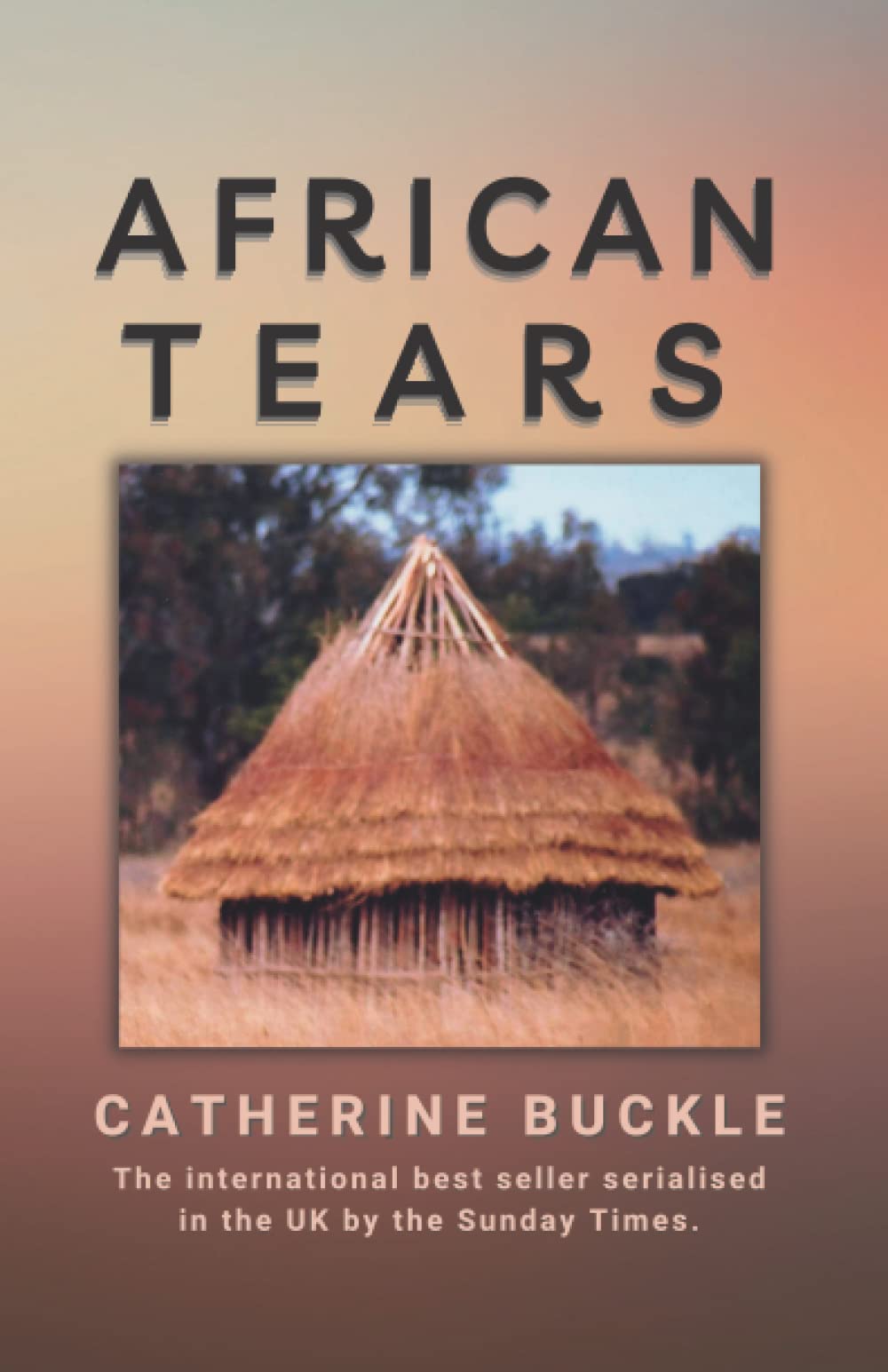 African Tears (Life During Political Crises in Zimbabwe)