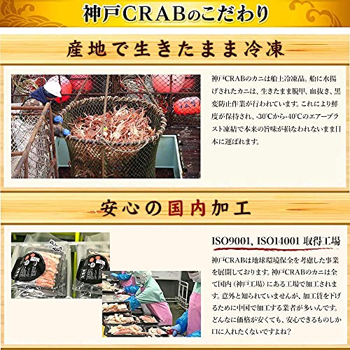 鮮度の鬼 超特大 お刺身OK カット 生 ずわいがに 1kg 5Lサイズ の商品画像 5
