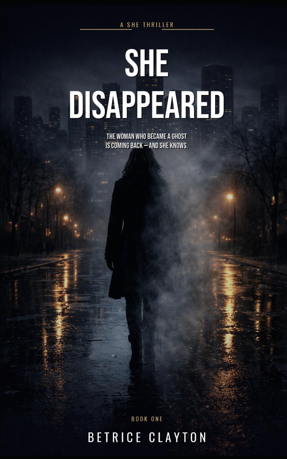 She Disappeared: A Dark Psychological Thriller About a Woman on the Run: 1 (A SHE THRILLER Series)