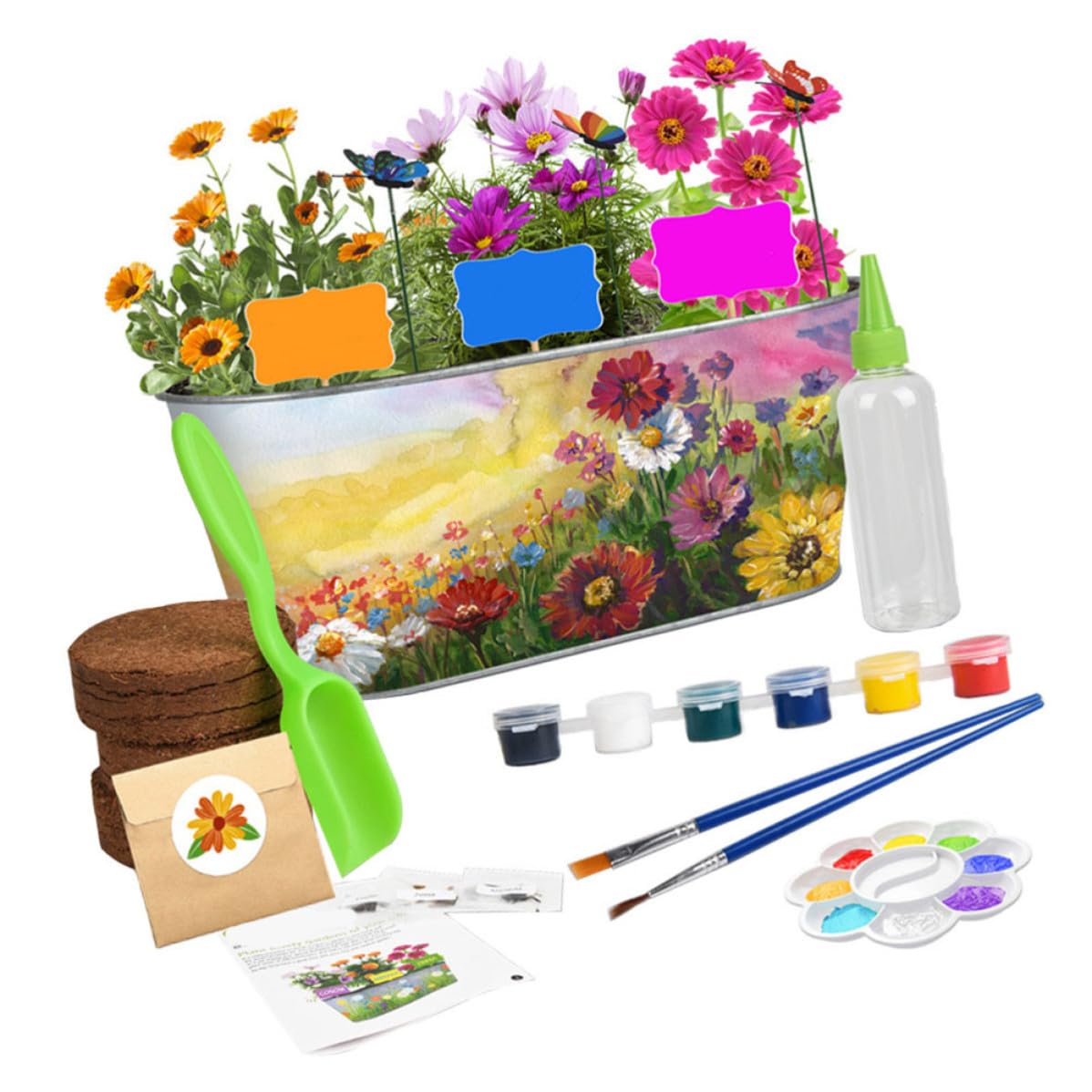 Kit Coltivazione Piante per Ferro, DIY Creativo