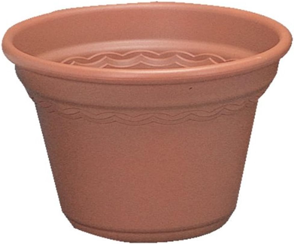 cortipot, 18号