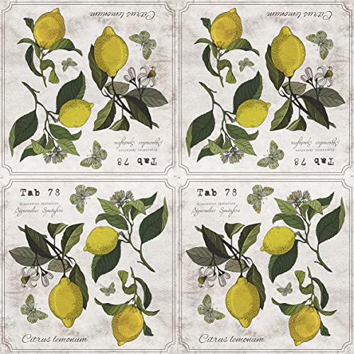 Lemon-Napkins-LEMON-BOTANY-with-Butterflies-40pcs-Lemon-Cocktail-Napkins-Summer-Cocktail-Napkins-Decorative-Napkins-Floral-Napkins-Decoupage-Paper-Napkins Lemon Napkins LEMON BOTANY with Butterflies 40pcs Lemon Cocktail Napkins Summer Cocktail Napkins Decorative Napkins Floral Napkins Decoupage Paper Napkins