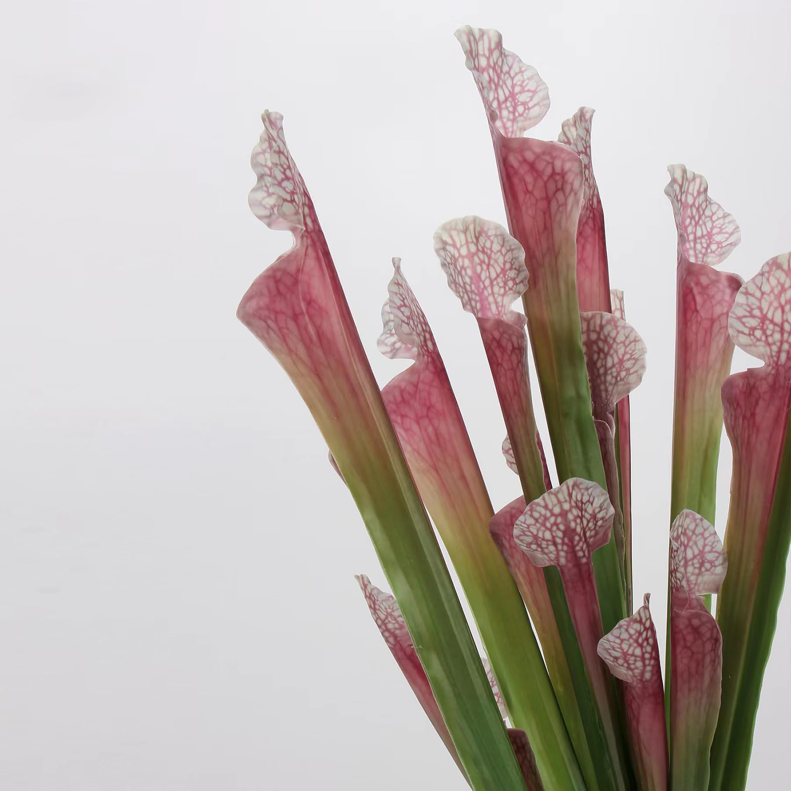 ピンクパープル 花瓶 26f2d6404c308934b99bb334cc5e27