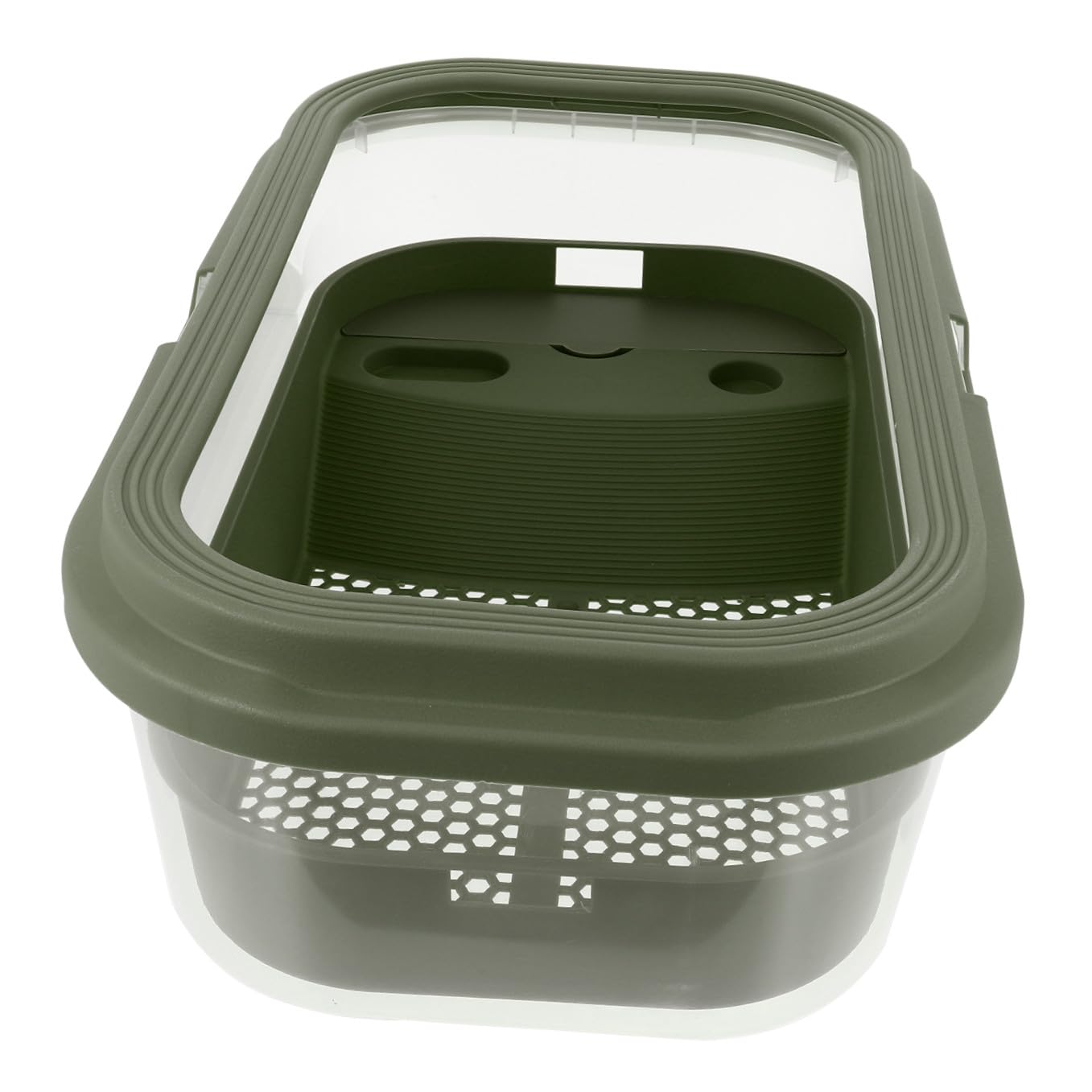 Terrarium pour Tortues avec Terrasse et Rampe, Grand Aquarium Vert | Plastique, Design Créatif, Dispositif de Changement D’eau, Nettoyage Facile, Usage Pratique pour Grenouille et Tortue