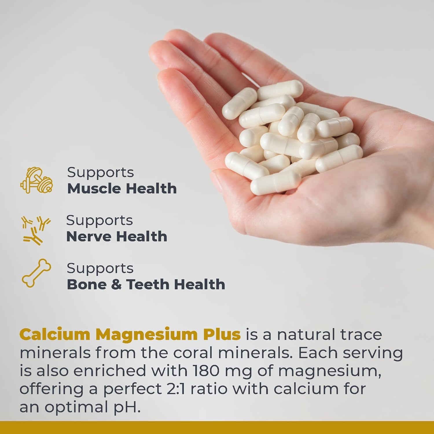 Premier Research Labs Calcium Magnesium Plus - 90 Vegetarian Capsules — Amazon image 4