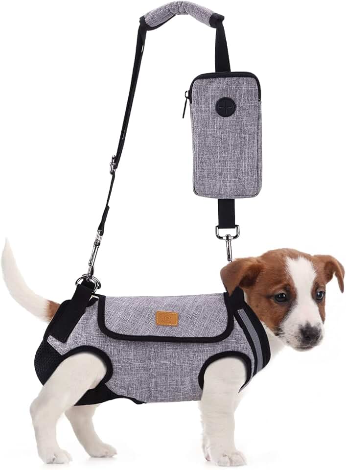 backpack for dogs to wear