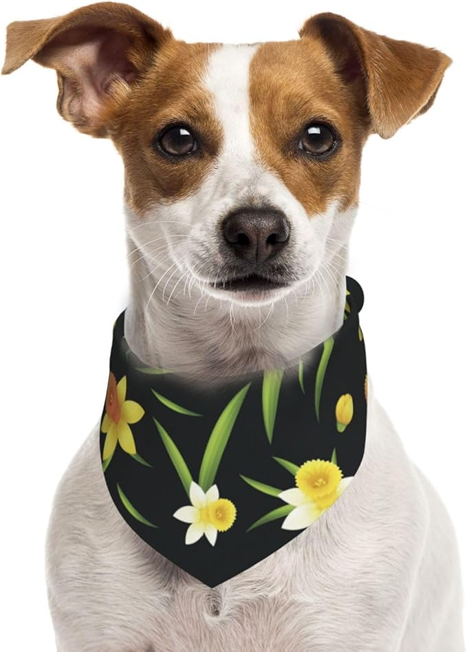 Pañuelo ajustable para perros Daffodils - Talla mediana - Color blanco miniatura 2