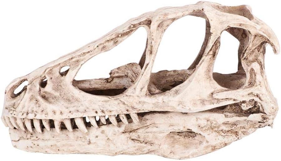 Resin Dinosaur Skull Model Simulated Animal Skeleton Replica Home Office Decor Craft Teaching Prop Shelf Display Decorative Dino Sculpture