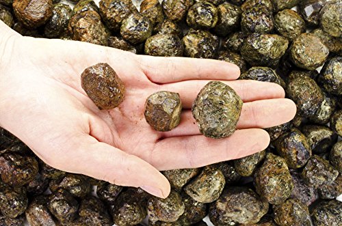 Fantasia Materials: 1 Lb Rhodolite Garnet Rough Stones From India #TOP3