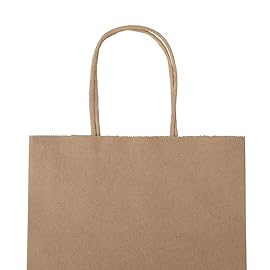 bagmad 100 Pack 8x4.75x10 Inch Plain Medium Paper Bags with Handles Bulk, Brown Kraft Craft Gift Bags, Grocery Shopping Retail Birthday Party Favors Wedding Sacks (Natural Brown, 100pcs)