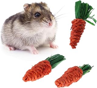 YDZN 3Pcs Carrot Shaped Rabbit Hamster Chew Bite Toys Guinea Pig Tooth Cleaning Toys