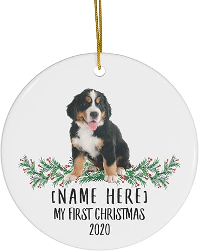 Nombre personalizado de año personalizado, perro de montaña bernés, cachorro de tres colores, decoraciones de Año Nuevo 2024, regalos para el primer
