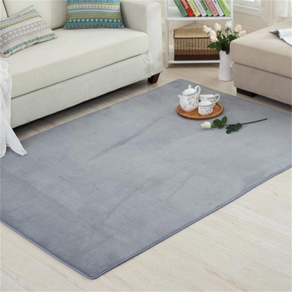 Tapis de salon moderne doux poil court grand tapis antidérapant argent
