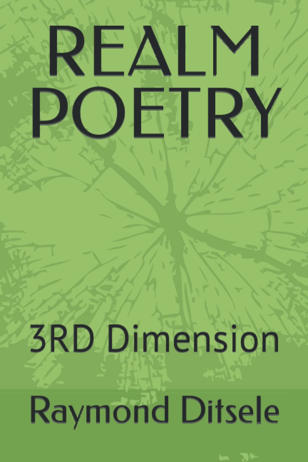 REALM POETRY: 3RD Dimension