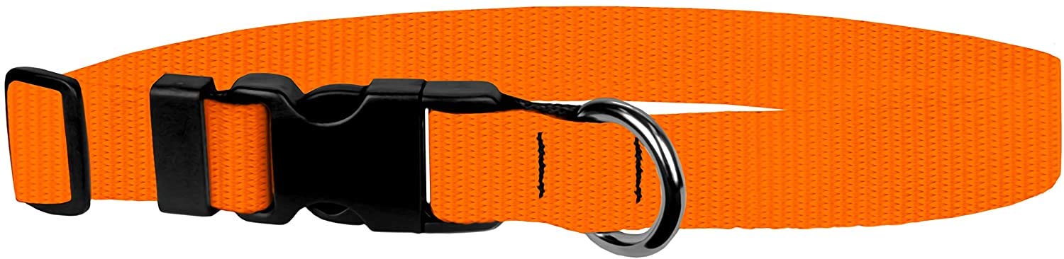 Dog Collar - Colored Adjustable Pet Collars, 3/4 Inch Wide, Small, Pumpkin