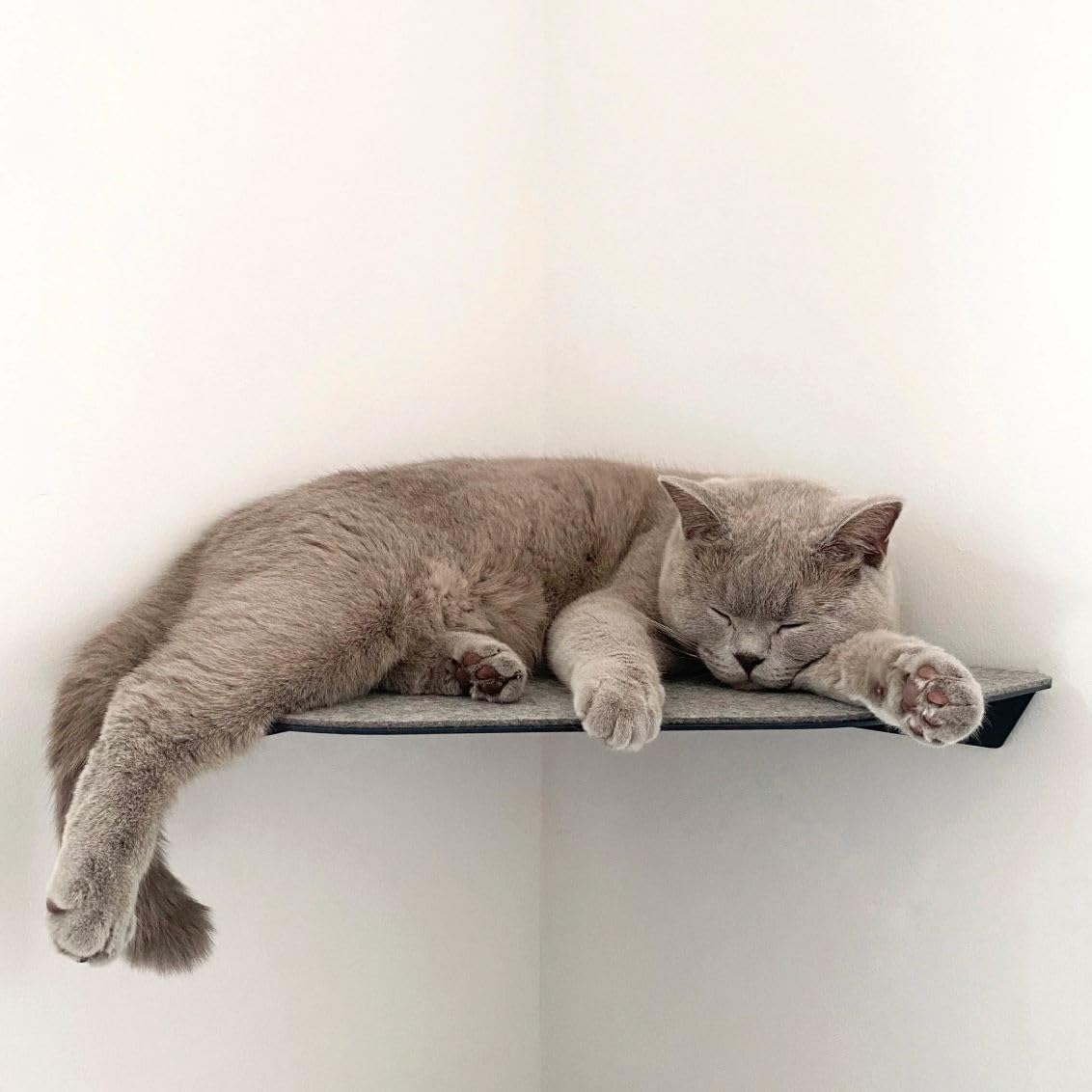 ChapoNero - Tumbona para gatos y escaleras de escalada con revestimiento de fieltro para techos de pared, tumbona de pared para gatos, manta de pared para gatos, para pared de escalada, estantería