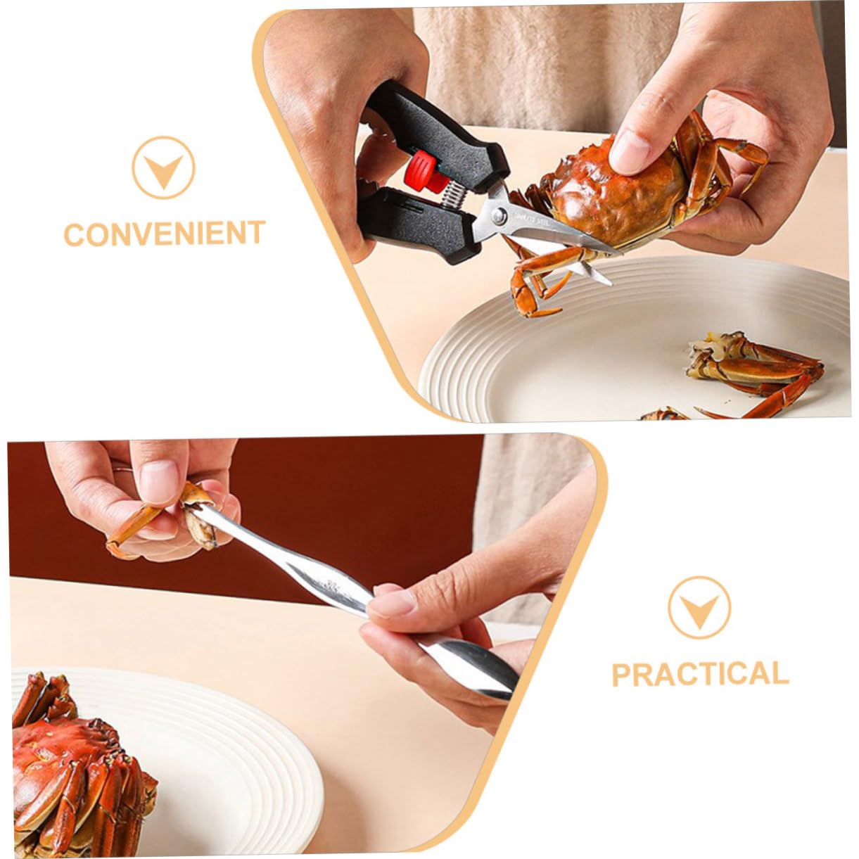 Gatuida 3sets Strumenti per Mangiare Granchio Kit Professionale con Pincette Forchetta e Scatola di Conservazione Utensili per di Mare Design Unico per Estrazione Facile della per Amanti