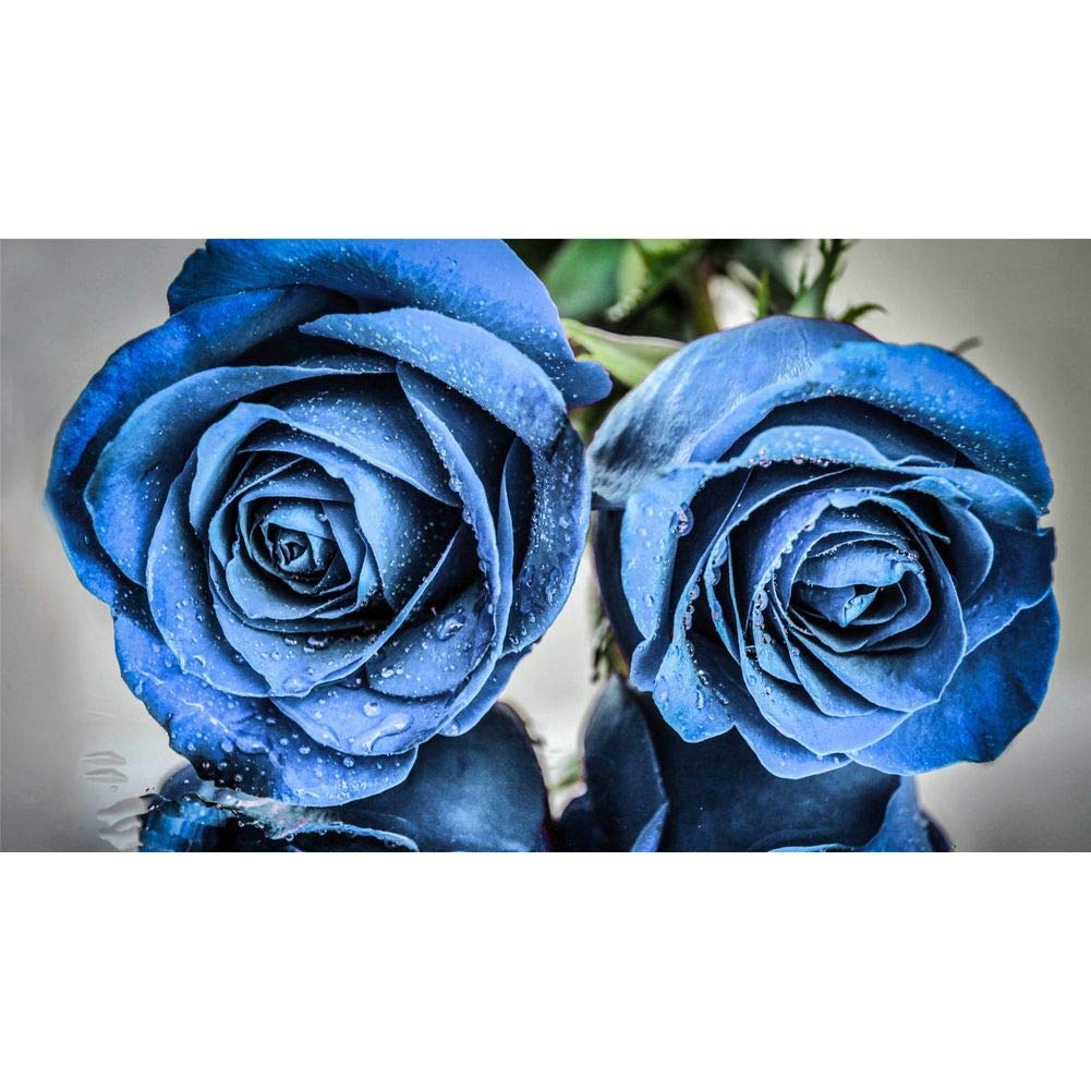 DIY 5D Diamond Painting by Number Kit,Full Drill Cross Stitch Kits Crystal Rhinestone Embroidery Arts Craft Canvas Wall Decor Blue Fowler 15.7x11.8in