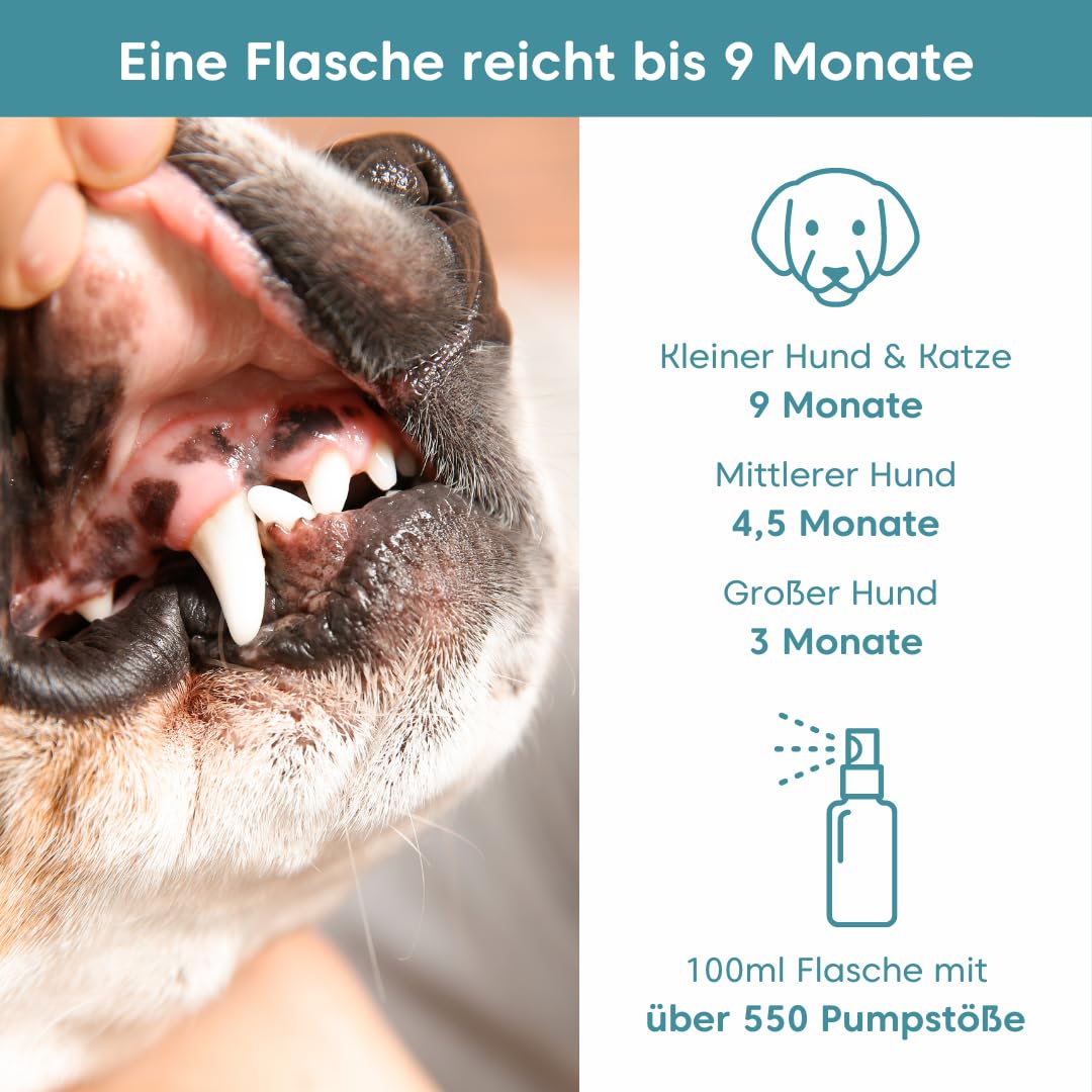 Dentalfee - Dentalspray/Zahnpflege Spray für Hunde & Katzen - Entfernt Zahnstein & Zahnbelag - 100% natürlich - 50 fermentierte Kräuter - frischer Atem - 100ml - Reicht bis 9 Monate…