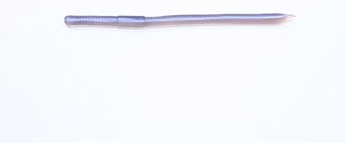 Zoom Swamp Crawler-Pack de 25