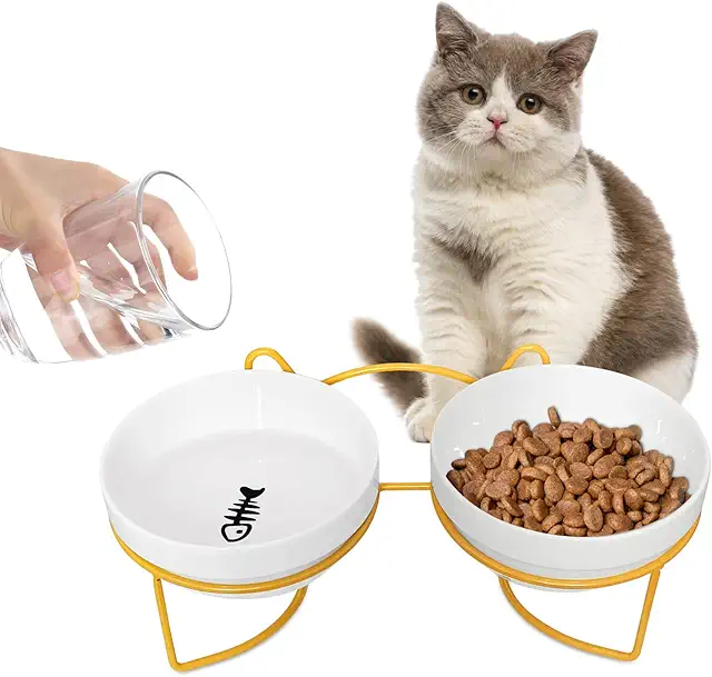 Double Gamelle Chat en Céramique Surélevée - Bol Incliné Ergonomique