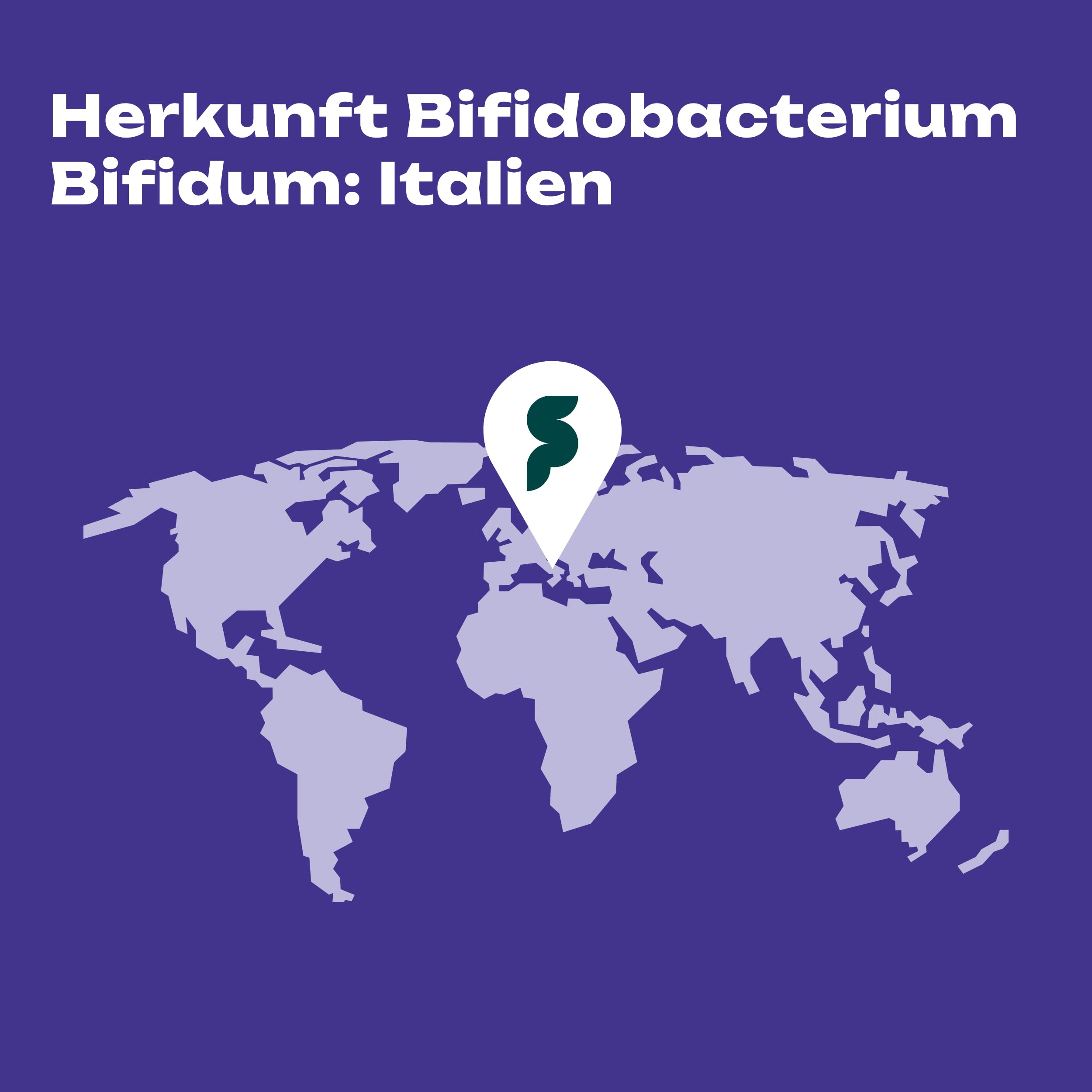 Bifidobacterium Bifidum, 90 vegane Kapseln, 5 Milliarden KBE pro Kapsel, OHNE Magnesiumstearat