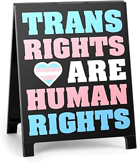 Trans Rights Are Human Rights Office Desk Sign No Kings in America Decor Pride Signs Gifts Political Democracy Decoration for Home Bedroom Bookshelf Human Right LGBTQ BLM Block Sign Table Decorations