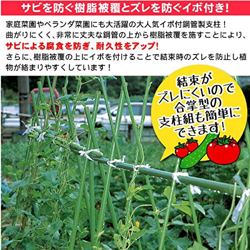Amazon | 国華園 支柱 直径16mm 長さ200cm 50本 イボ付 鋼管製 錆び