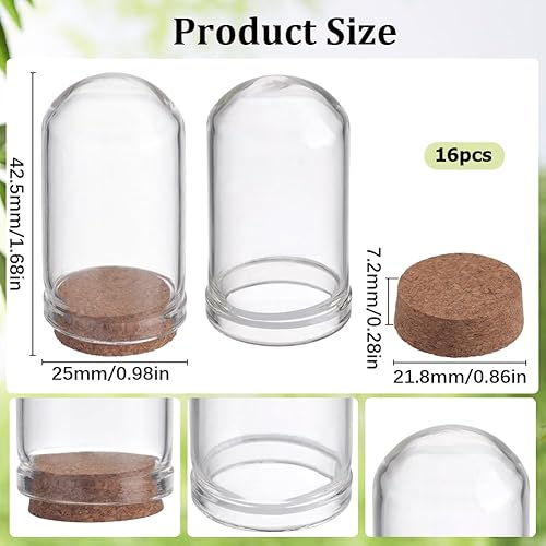 Miniatura 2 de SUNNYCLUE 16 unidades de 1.77 pulgadas Cloche Bell Jar Bell Cloche Cúpula de vidrio Cúpula de cristal con base de corcho, contenedor de