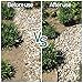 Vigevee Rasenkante verzinkt Metall, 5m 10m 15m 20m 25m 30m 35m 40m 45m 50m 100x15cm oder 100x18cm Beeteinfassung Mähkante Palisade Gartenbeet, Silber (Länge 5m - Höhe 15cm)