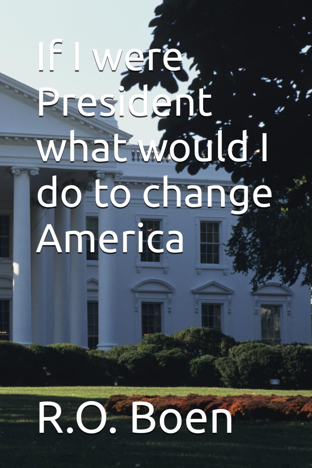 If I were President what would I do to change America