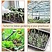 Mr. Pen- Plastic Growing Trays, 5Pack, Black, 17x10, Plant Tray, Seed Tray, Seedling Tray, Propagation Tray, Plant Trays for Seedlings, Planting Trays, Microgreens Growing Trays, Seedling Starter Tray