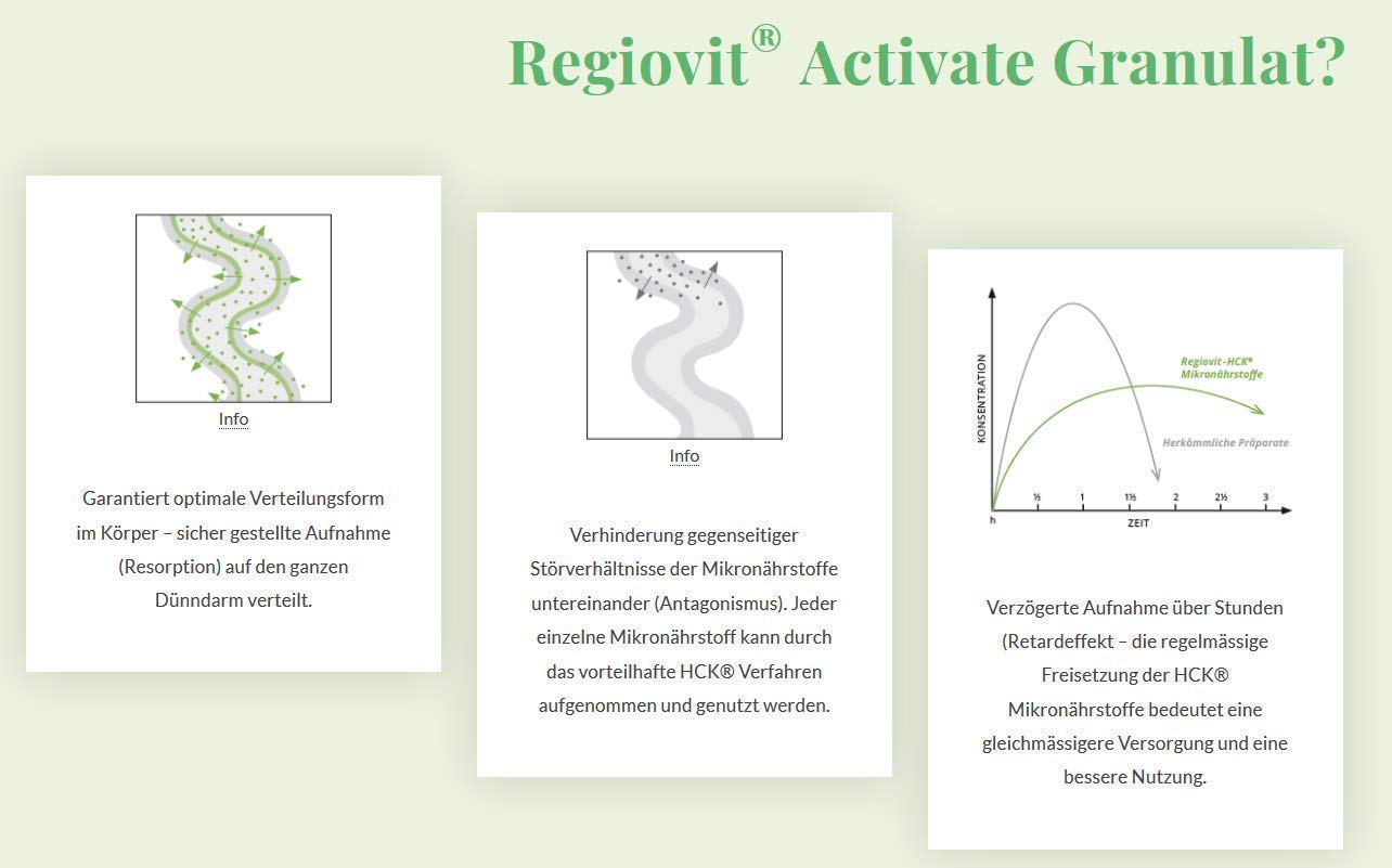 REGIOVIT® Activate Granulat Vitamin Mineralstoff-Komplex I Mikronährstoffe Hochdosiert I Multivitamin-Präparat mit Mineralien-Komplex Spurenelemente Ballaststoffe I Vitamin-Komplex Vegan 176g