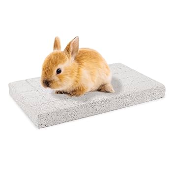 ヌータヤルヴィ　インケリ　トイッカ　チンチラ(うさぎ) ペーパーウェイト Amazon.co.jp: ウサギの足パッド 歯を噛むおもちゃ ウサギ