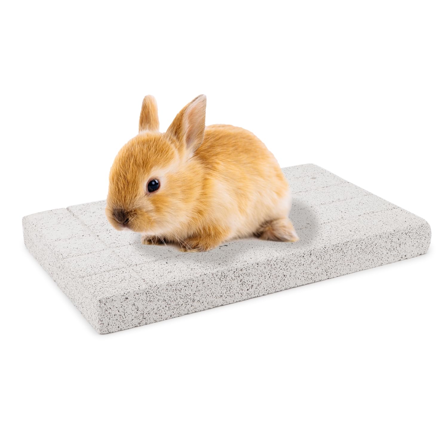 Jouet à mâcher pour lapin en pierre volcanique premium pour rat