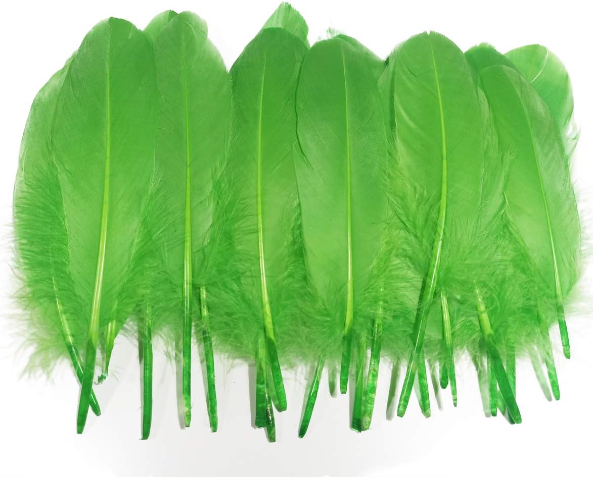 Barara king Goose Feather Beautiful 