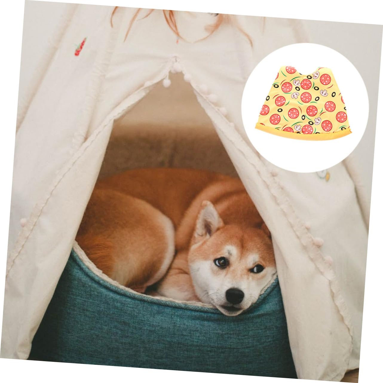 Angoily 3 Pezzi Di Halloween Dog Outfit Pet Halloween Mantello Pizza Design Comodo Abbigliamento Per Animali Domestici Per La Stagione