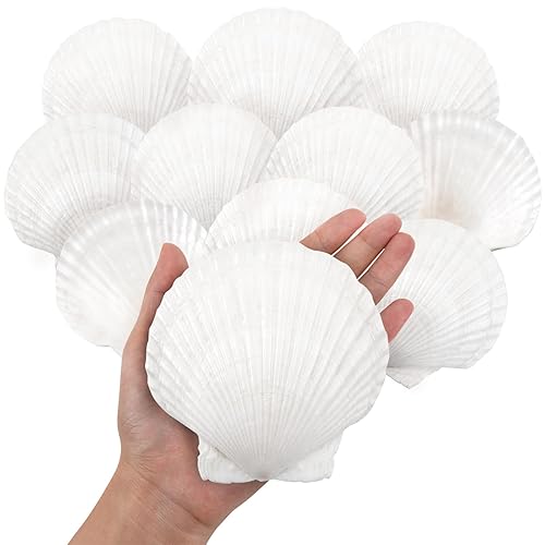10PCS Large Natural Scallop Shells, 4''-5'' Large Shell for Crafts, DIY Painting, Baking and Beach Wedding Decorations - Large White Seashells Bulk for Ocean Themed Parties and Home Decor