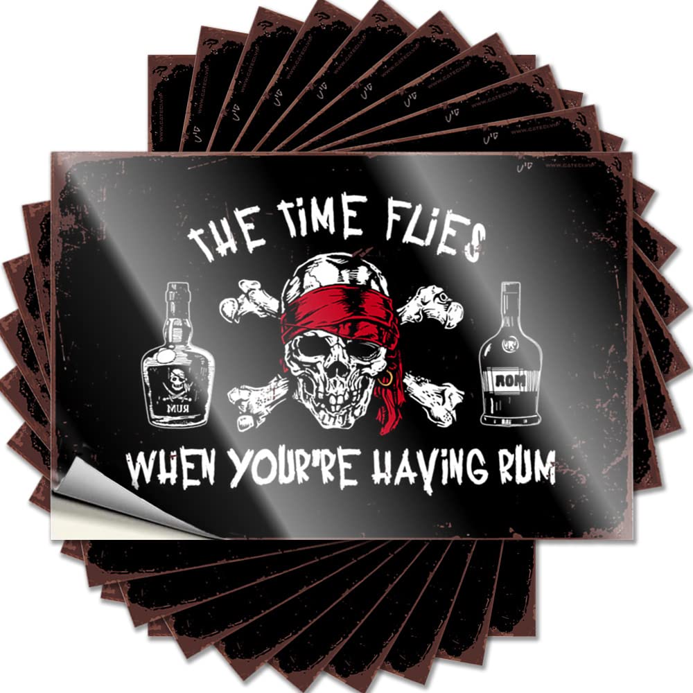 Pirate Time Flies For Label Good Job Adult Checkered Funny Warning Sign