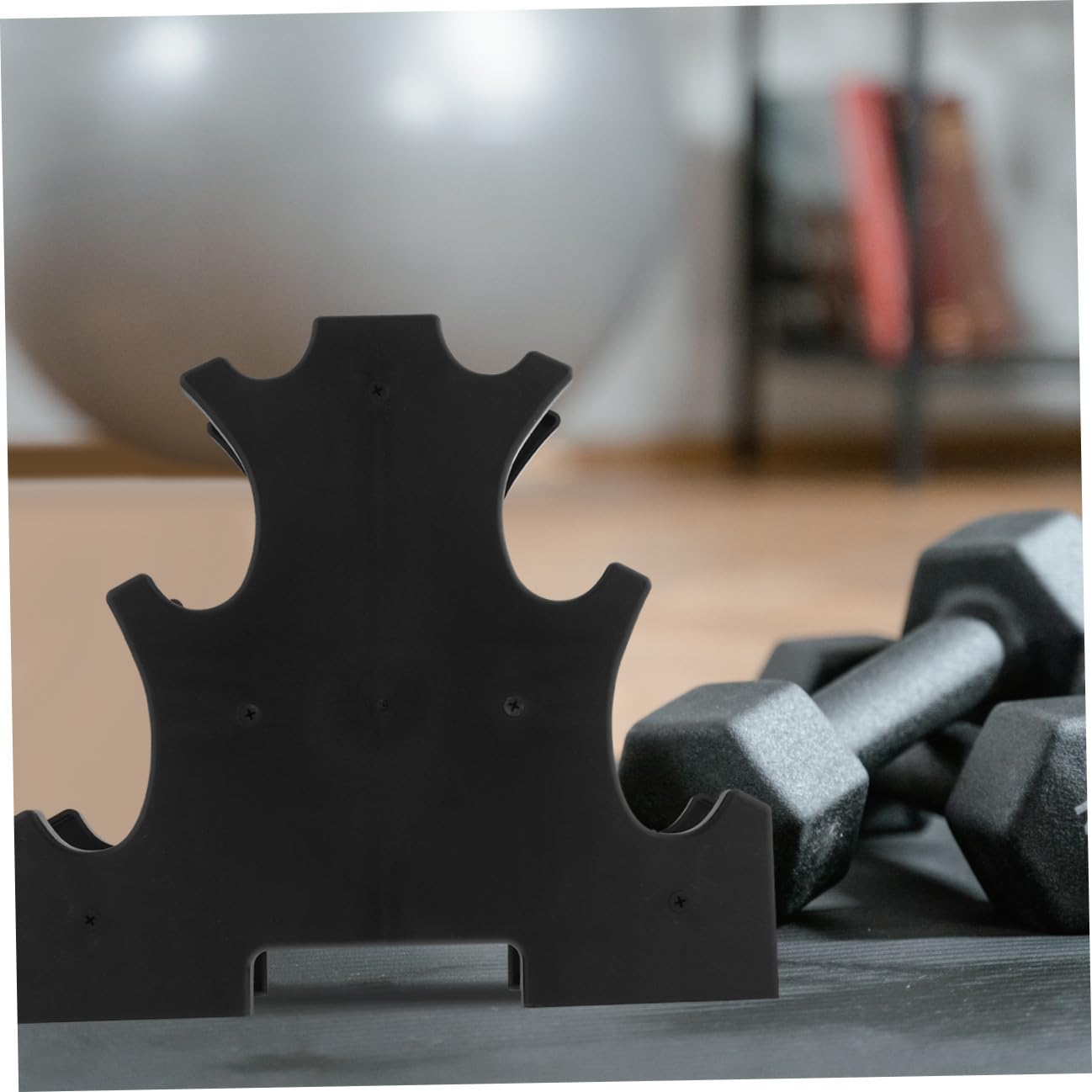 Rastrelliera Portamanubri 2 Pezzi in Pp Nero, Resistente All'usura e Pratica, Design Semplice per Conservazione Attrezzatura Palestra Domestica