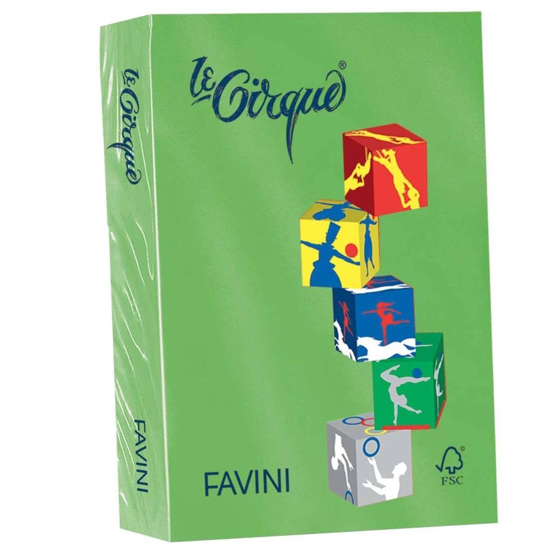 Favini Le Cirque Carta A4 160 gr/mq 250 fogli Verde Prato Forte