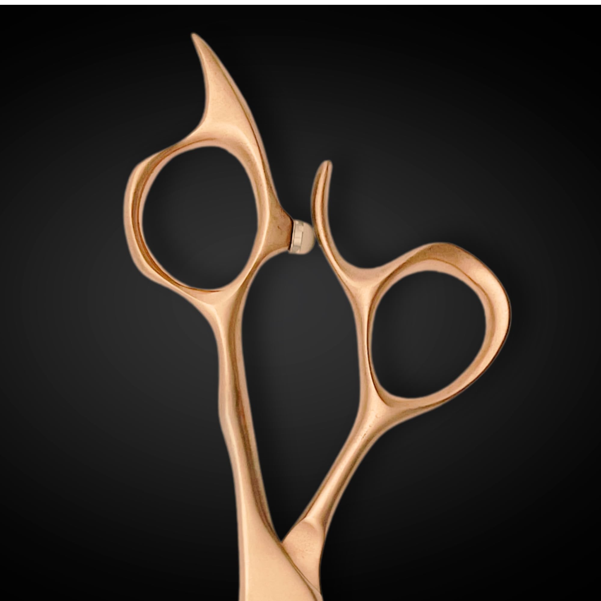 Amazon.co.jp: Saki Shears ゴールド6インチヘアカットはさみ - VG-10