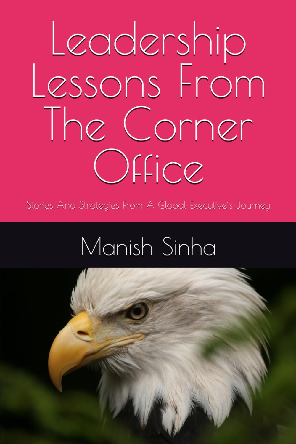 Leadership Lessons From The Corner Office: Stories and Strategies from A Global Executive’s Journey