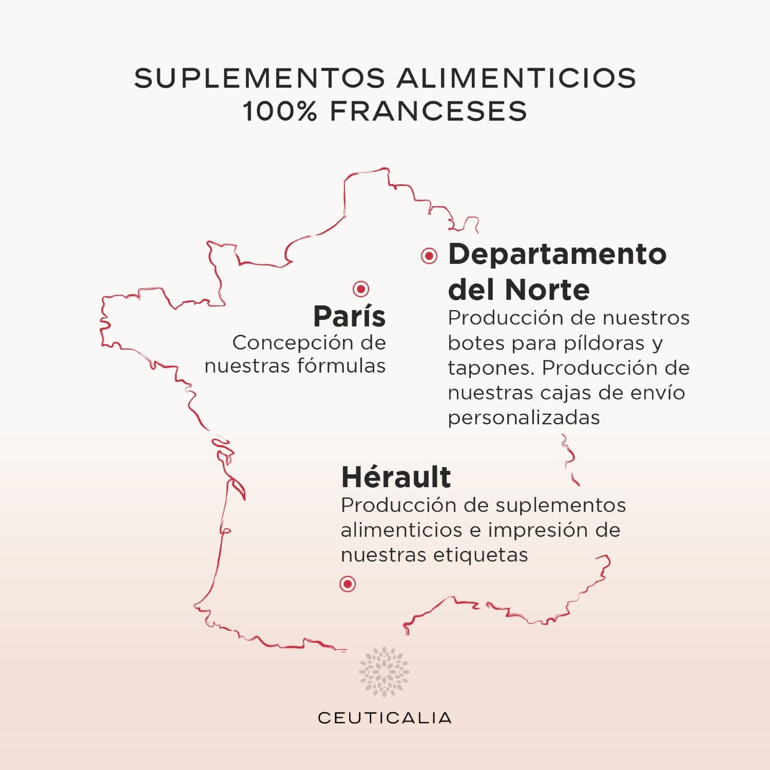 Complemento Alimenticio Energía y Vitalidad - Anti Cansancio y Agotamiento - Para Mujer y Hombre - Ginseng, Guaraná, Yerba Mate, Acerola, Magnesio, Vitaminas D y B - 180 Cápsulas, 90 Días